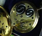 im Goldgeh�use